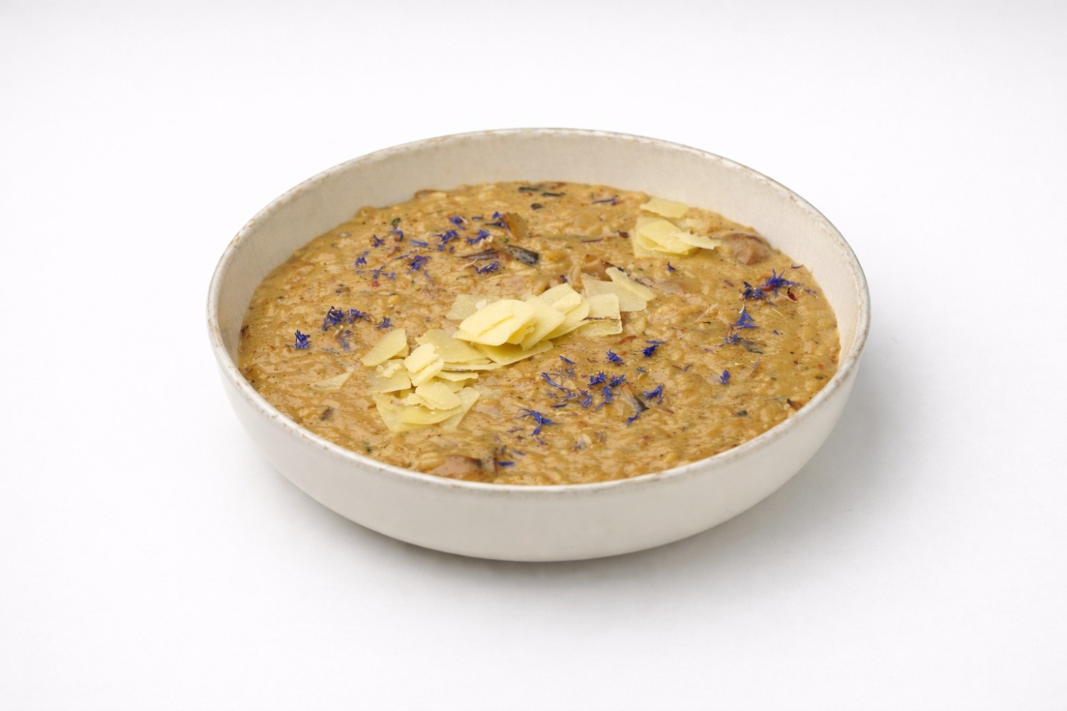 Wild Mushroom Risotto