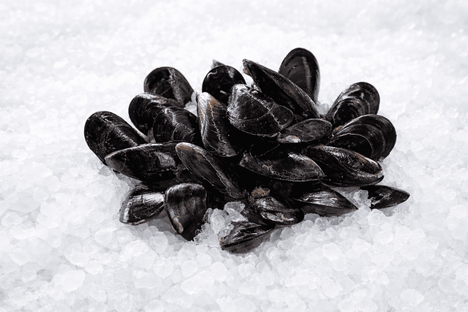 Mussels (fresh from Greece)